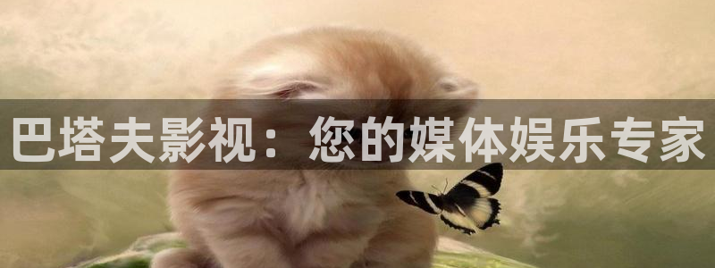 6080新视觉观影理论