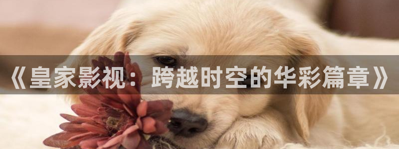 yy6080新影视大全