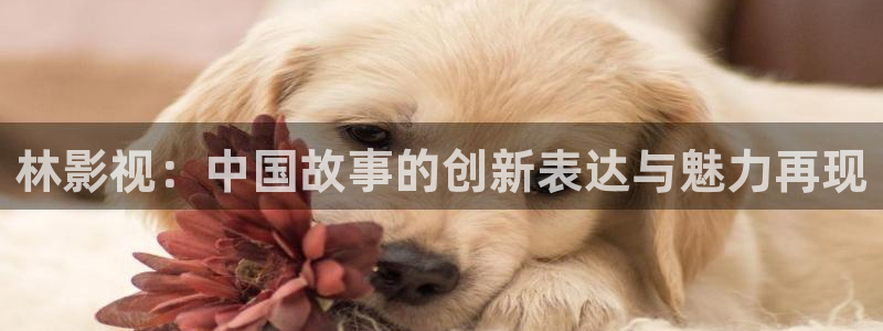 6080青苹果电影院